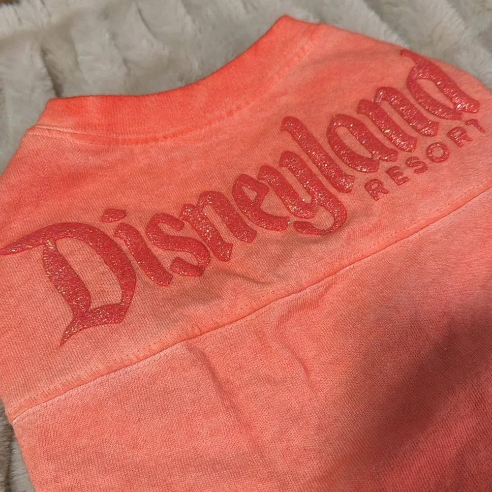 Disneyland Orange ombré Pet T-Shirt (small)